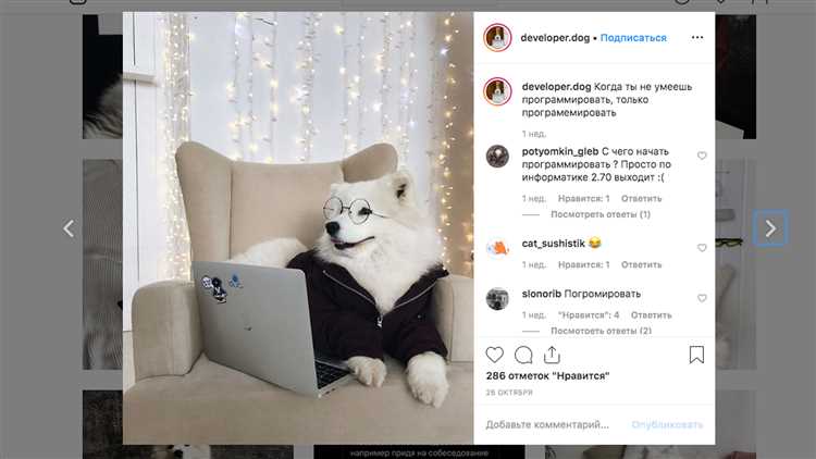 Программное обеспечение и возможности