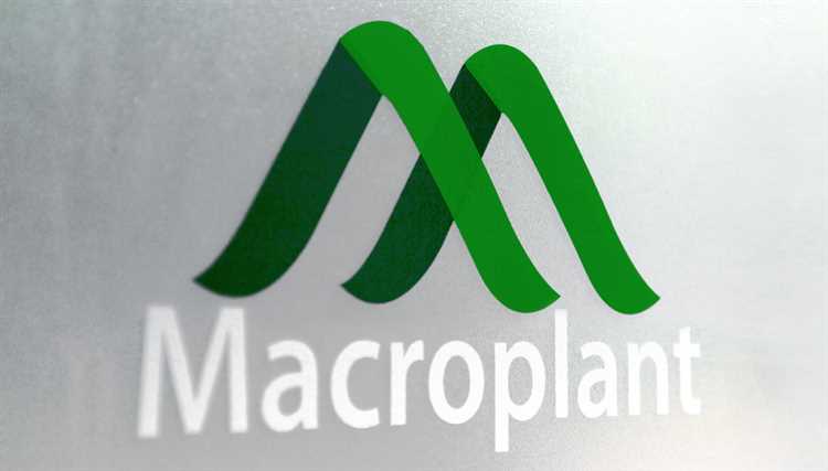 Компания Macroplant LLC: лучший выбор для эффективной работы