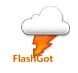 Скачать бесплатно FlashGot 1.5.6.14 для Firefox