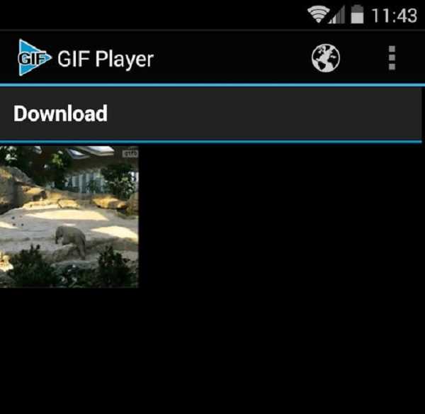 Скачать бесплатно Gif Player для Windows - Gif Player vxx7